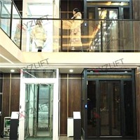 Ascensore Idraulico Compatto per Villa a 2-4 Piani, Approvato CE, 320kg/400kg/630kg, con Vano, per Interni