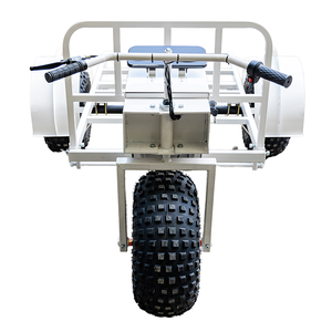 Custom Elektrisch Ijs Platform Kar Display Driewieler Ijskar Elektrische Trolley Ijs Handkar - Product Image 3