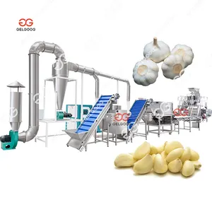 Quantity Of A Garlic Peeling Machine Online Garlic Skin Removing Peeling Production Line Garlic Peeling Production Line