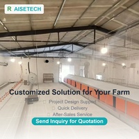 Nuevo Sistema Automático de Cría de Aves de Corral en Suelo con Material PP |   Equipo Completo para Cría en Sistema Flat para Granjas de Pollos de Engorde y Ponedoras