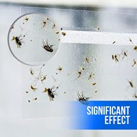 Lot de 20 pièges à mouches pour fenêtre, pièges adhésifs efficaces pour l'intérieur, bandes adhésives pour attrape-mouches