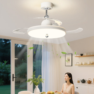 Ventilateur de plafond silencieux avec éclairage pour chambre à coucher, grand ventilateur de plafond avec éclairage pour salle à manger - Product Image 1