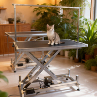 Table de toilettage pour chien hydraulique professionnelle en acier inoxydable 304, table élévatrice pour chiens de taille moyenne à grande