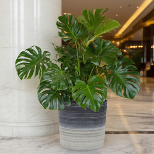 Leizisure Pots de plantes en plastique rustiques durables Grandes jardinières pour plantes d'extérieur Ronds cylindriques Macetas Decorativas En <span class=keywords><strong>Casa</strong></span> - Product Image 4
