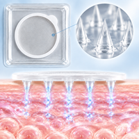 Patchs Microneedle au Collagène et Acide Hyaluronique pour le Visage – Anti-âge, Élimination des Rides Fines – Fabricant OEM