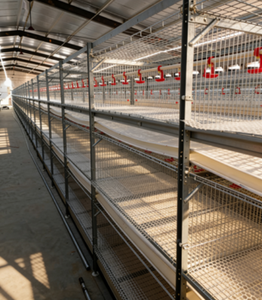 Jaulas para Pollos de Tipo H Automáticas de Múltiples Niveles, 3/4 Niveles, Capacidad para 60-80 Aves, Ahorro de Espacio, Alimentación Separada, Compactas, Fáciles de Operar - Product Image 2
