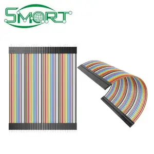 Custom 2.54mm dupont terminal wire 50 pin control signal cable 40pin ribbon cable for raspberry pi gpio