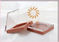 Boîtier compact carré vide en plastique transparent avec couvercle, personnalisable avec logo, pour fard à paupières, blush et illuminateur