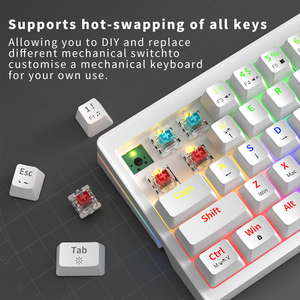 ZA63 Customized Hot Swappable <b>USB</b>-C RGB Backlit 63Keys Mini Wired 2.4G Wireless Gaming Mechanical <b>Keyboard</b> Office Laptop ZIFRIEN - Product Image 3
