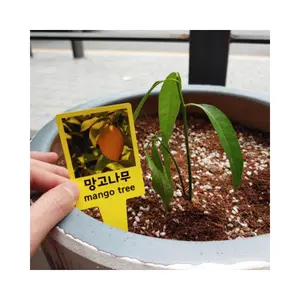 Hot-Selling Non-Adhesive Label Paper Pick Tag Printable Labels Agricultural Name Tag For Plant