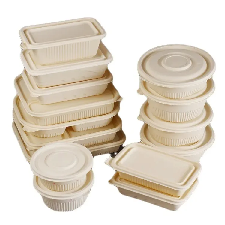 Biodegradable Disposable Food Grade Sugarcane Bagasse Bowl Lunch Box With Lid