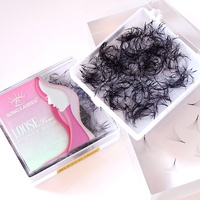 Extensions de cils pré-faits en éventail de qualité supérieure, en PBT coréen 500, courbure C et D, base pointue