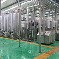 Fruitverwerkingsmachine Sap Productielijn Grote Capaciteit Ananassap Machine