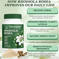 Capsules d'extrait de Rhodiola Rosea de marque privée Neewwon, complément alimentaire de qualité alimentaire, supplément à base de plantes, capsule énergétique contre le stress