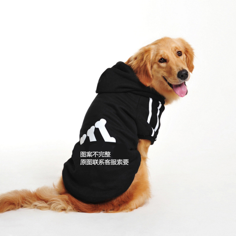 Gros chien et noir
