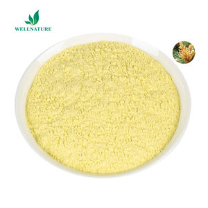 Hot Sale Pine Pollen Extract Poeder 20:1 Natuurlijke Nutritionele 100% Pure Pine Pollen Poeder Supplement Oem Odm - Product Image 1