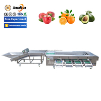 Automatische citroenen sorteermachine, sinaasappel-, tomaat-, avocado-, banaan-, bosbes- en kersentomaat sorteermachine, citroenen grader