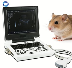 Draagbaar digitaal <span class=keywords><strong>Doppler</strong></span>-echoscopie systeem voor dierenartsen, kleuren-<span class=keywords><strong>Doppler</strong></span> bewakingsapparatuur - Product Image 5