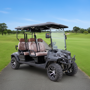 Voiturette de golf à faible consommation d'énergie et silencieuse pour l'entretien des parcs et des jardins - Product Image 5
