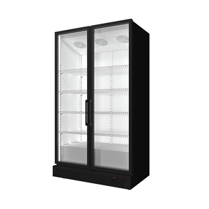 Réfrigérateur vertical commercial à 2 portes pour boissons, pour supermarchés et magasins de proximité - Product Image 5