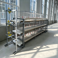 Cage à poulets de type H au meilleur prix avec grattoir manuel pour la collecte du fumier, cages d'élevage de poulets de chair pour petites exploitations avicoles (120 à 2000 poulets)