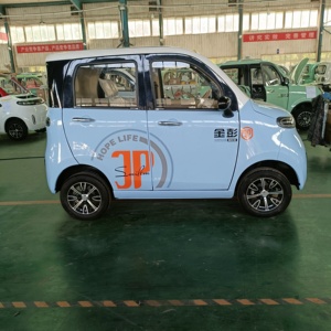 Remise limitée dans le temps sur les véhicules électriques haut de gamme pour adultes, à 4 roues motrices, à charge rapide et à 4 portes. - Product Image 3