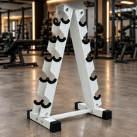 Support de rangement en acier thermolaqué à 5 niveaux pour 10 paires d'haltères en forme de A, idéal pour la maison, la salle de sport et l'équipement de fitness commercial