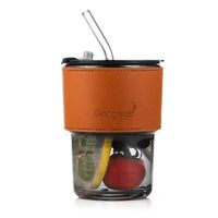 Gobelet en verre de couleur claire Borosilicate réutilisable, tasse à café de voyage, tasse à lait pour enfants avec paille et couvercle