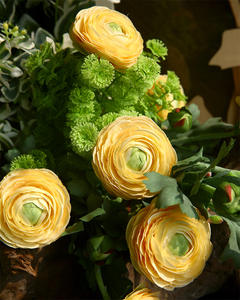 Vente en gros de fleurs de renoncule <span class=keywords><strong>asiaticus</strong></span> en soie artificielle à haute simulation pour la décoration de mariage à la maison - Product Image 5