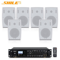 Système de sonorisation professionnel SHILE AV8820 BX-105 pour scène, mariage/salle de conférence, amplificateur, microphone, pack combo 6,5 pouces