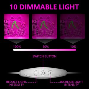 Letrero de Neón con Diseño de Bola de Discoteca y Cereza para Decoración de Pared, Letrero LED de Neón con Lazo de Cereza Rosa, Decoración de Habitación <span class=keywords><strong>Coqueta</strong></span>, Letreros de Neón Personalizados - Product Image 4