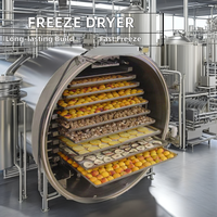Automatische vriesdrooginstallatie voor fruit, vis, deeg & groenten, nieuwe staat, vacuümvriesdroging, warmtewisselaar