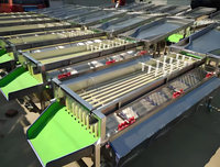 Vbjx Automatische Industriële Aardappel Fruit En Groenten Ui Grader En Grootte Sorteermachine Voor Wortel