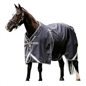 Manta para Caballo de Alta Calidad con Cubrecuello, 600D, Manta para Caballo, Manta para Exteriores - Product Image 1