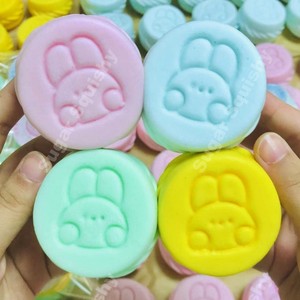 Giocattolo Sensoriale Squishy a Lenta Risalita a Forma di Macaron Pastello con Coniglio in Rilievo per Decompressione - Product Image 2