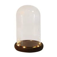 Glass Domes with LED Light for Flower, Home Decoration