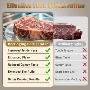 COLDSTAR Meat Aging Machine Restaurant Dry Age Steak Meat Display Hinge Door Fan Cooling Beef Dry Aging Steak Dry Ager for Home - Product Image 4