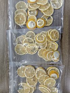 Séchoir en acier inoxydable de qualité alimentaire à haute température et haute efficacité - Product Image 6