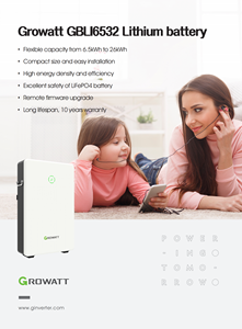 <span class=keywords><strong>GROWATT</strong></span> <span class=keywords><strong>GBLI6532</strong></span> Batería de litio LiFePO4 Uso en el hogar Sistema de almacenamiento de energía solar Estación de energía portátil LiFePO4 - Product Image 2
