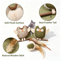 Bâtonnets à mâcher en plumes de catnip et de silvervine naturels de marque, jouets dentaires pour chats pour l'auto-entretenissement des chatons d'intérieur