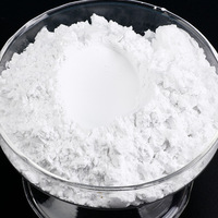 Dioxyde de silice hydrophile oxyde de silice de qualité nano silice pyrogénée hydrophile de qualité industrielle 99% Nano SiO2