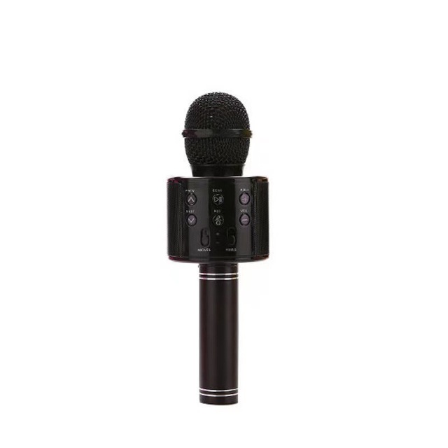 Hot Selling Handheld Mic Karaoke Wireless Party Handheld Singing Recorder Party Speakers with Mic Karaoke Wireless Microphone