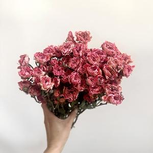 Flores de Rosa Secas Naturales con Múltiples Cabezas, Tallos de Rosa Reales para Decoración del Hogar, Bodas, Proyectos de Manualidades, Regalos - Product Image 2