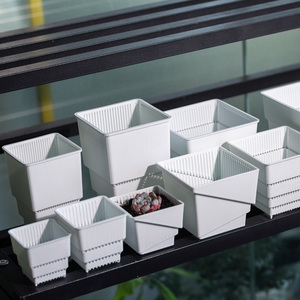 Wholesales Factory Black White Flower Pot Plastic Nursery Pots for Home Garden Decoration