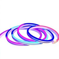 Kit de Bande Lumineuse LED Néon Flexible IP20 à Couleurs Fantaisie, RVB à Effet Défilant, pour Décoration d'Ambiance et Enseignes Lumineuses, Approvisionnement Direct Transfrontalier