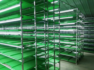 Système hydroponique de fourrage HZ-3000H machine à germer les fèves fourragères avec configuration complète - Product Image 6