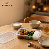 Conteneur carré moderne en PP de qualité alimentaire jetable TeGuan TG385 avec couvercle, capacité de 18 oz, provenant du Guangdong, pour utilisation en restauration à emporter