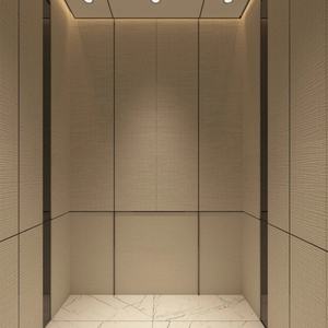 Mini Ascenseur Panoramique Moderne pour Maison, Villa, Hôtel, Appartement, Cuisine - Mini Escalator pour Extérieur - Product Image 1