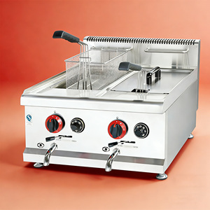 Friteuse industrielle à gaz double cuve 14L+14L pour frites, design relevable, pour comptoir, conforme aux normes alimentaires commerciales - Product Image 1