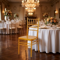 Chaises d'hôtel contemporaines d'extérieur, empilables, en fer doré, imperméables, durables, à pieds coniques et dossier solide, modèle Chavari, vente chaude